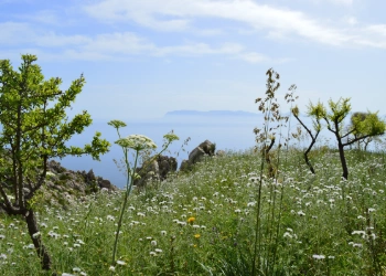 Zingaro Nature Reserve